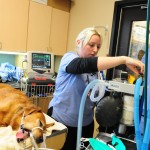 Technician monitoring anesthesia
